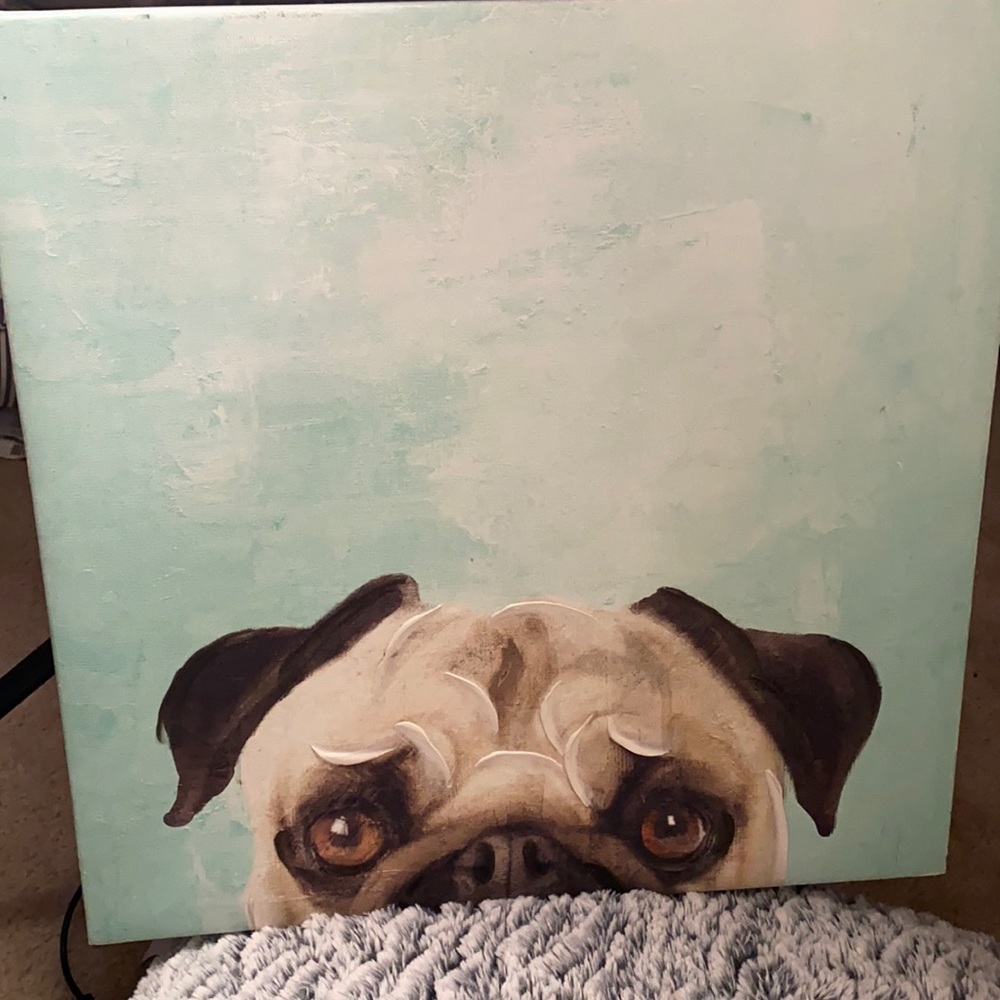 Dog painting